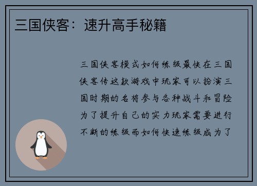 三国侠客:速升高手秘籍